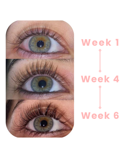 Eyelash Growth Serum